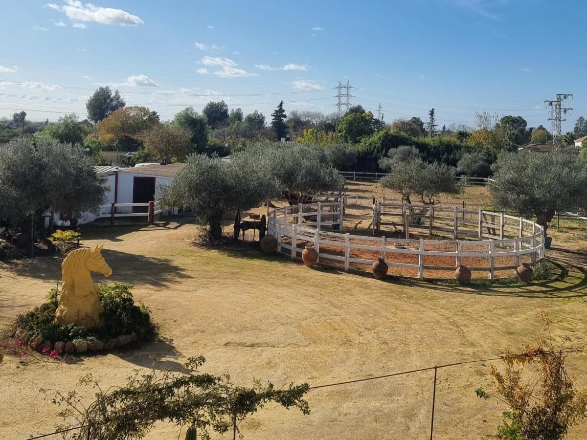 Villa Rural La Canera 16 Huespedes Sevilla